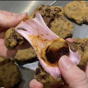Nutella s’mores Stuffed Cookie